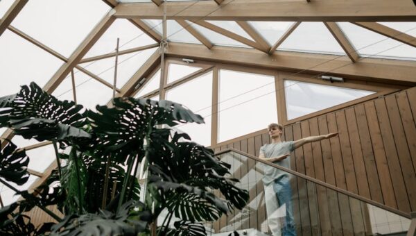 How to Create a Sustainable Living Space You Love