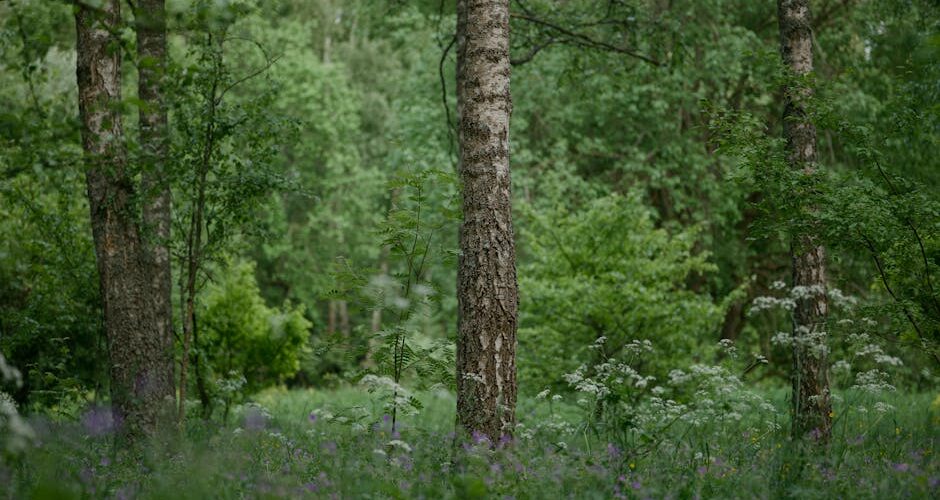 Rewilding the Urban Man: Embracing Nature in 2026